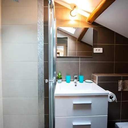 Apartment Le Felix - Charmant 4 Personnes Climatise Lyon