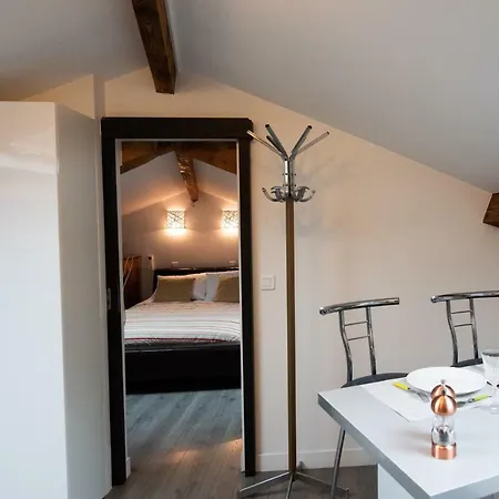 Apartment Le Felix - Charmant 4 Personnes Climatise Lyon